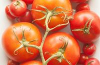 Tại sao không nên cho cà chua vào tủ lạnh