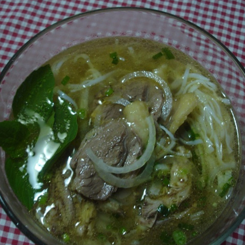 Gầu bò